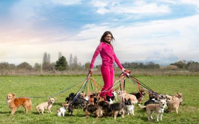 The Benefits of Regular Dog Walking